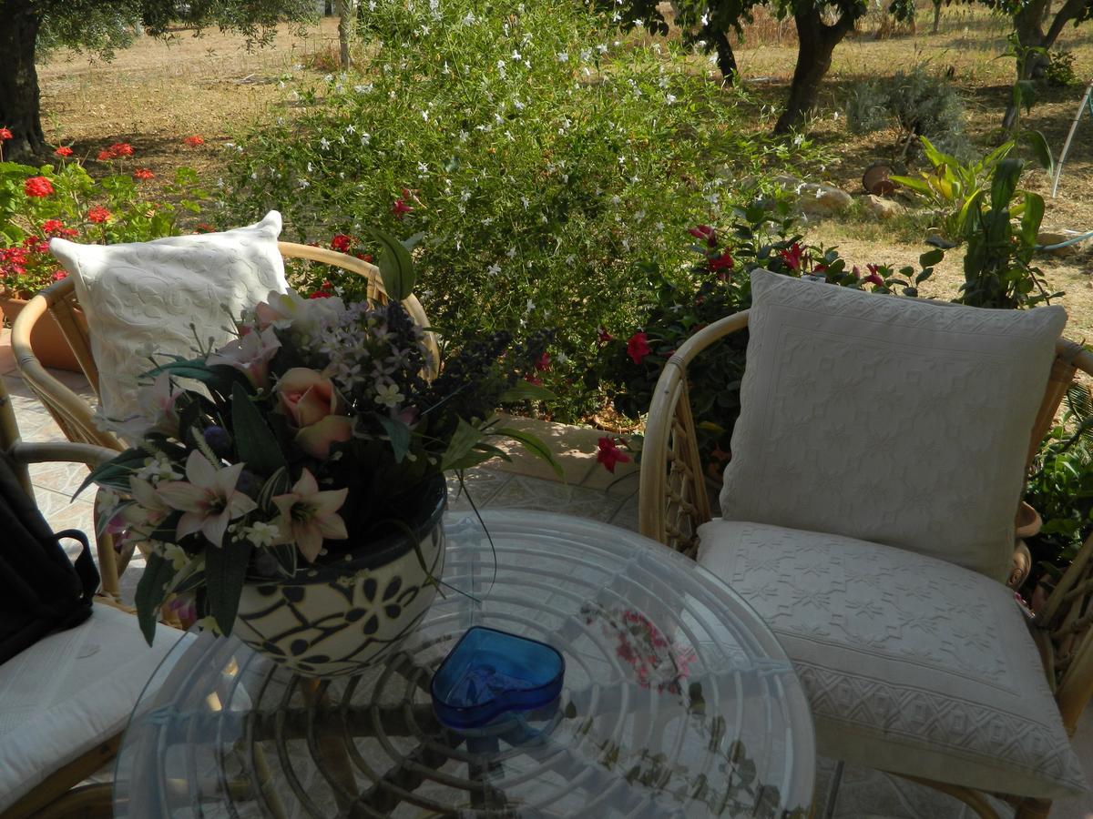 Uliveto House Bed and Breakfast Castellammare del Golfo Esterno foto