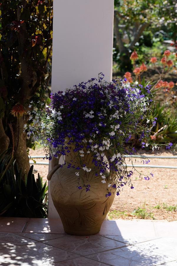 Uliveto House Bed and Breakfast Castellammare del Golfo Esterno foto