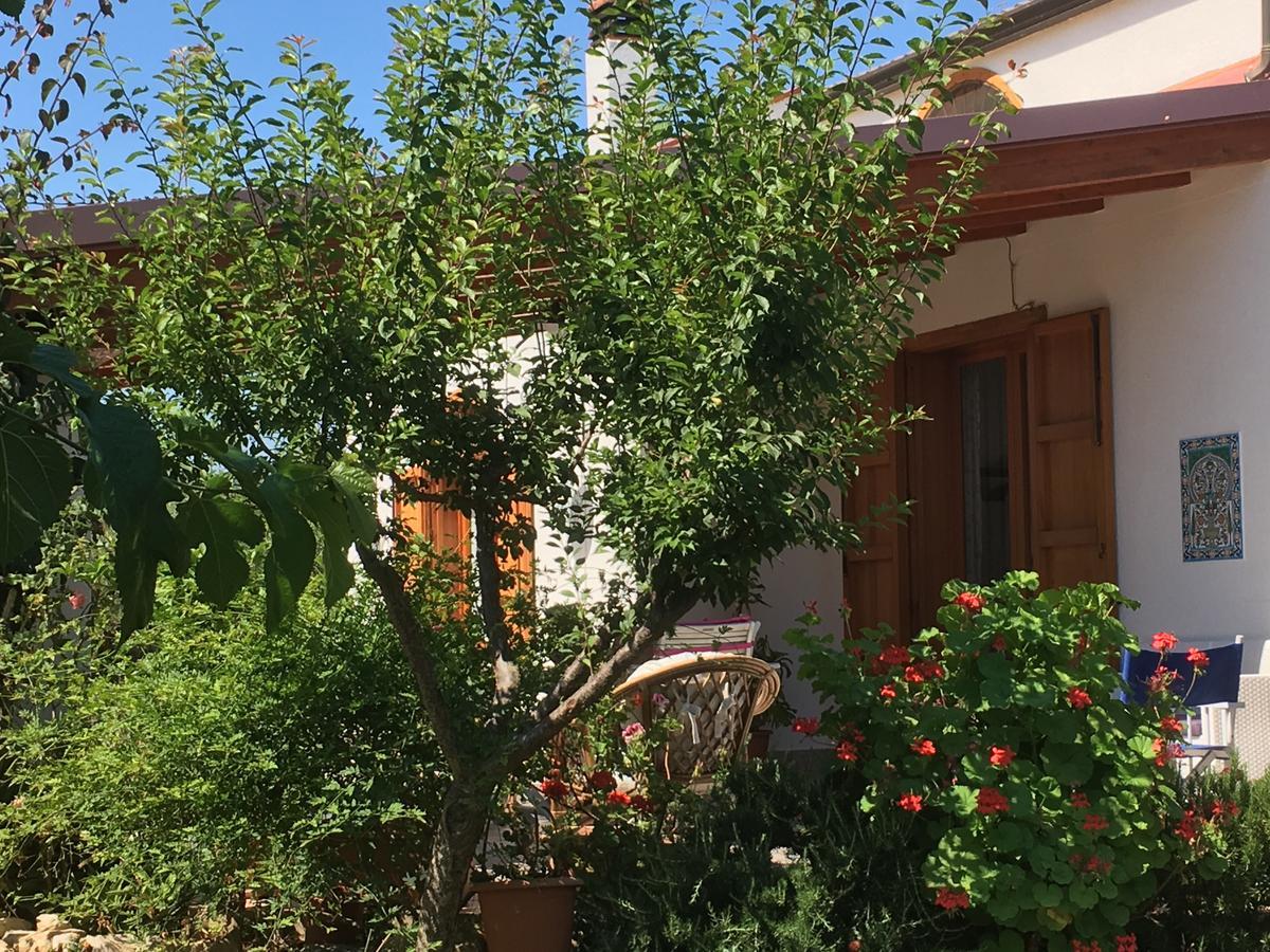 Uliveto House Bed and Breakfast Castellammare del Golfo Esterno foto